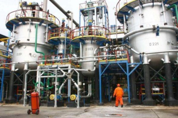 Rompetrol îşi întrerupe activitatea 39 de zile